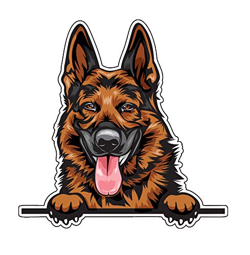 Autocollant en vinyle berger allemand sticker voiture vitre et pare-chocs