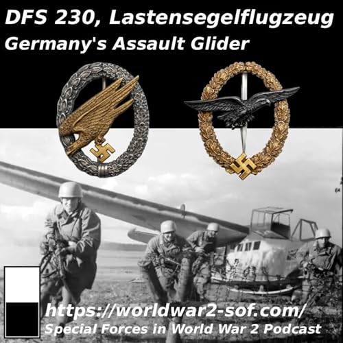 DFS 230 Lastensegelflugzeug