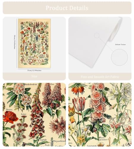 Meishe Art Vintage Poster Print Flower Floral Botanical Collections Garden Flowers and Plants Identification Reference Chart Diagram Home Wall Decor - Image 2