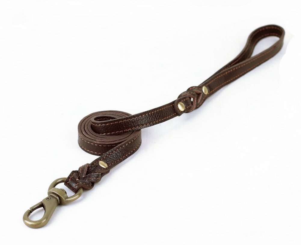 soft dog training leads