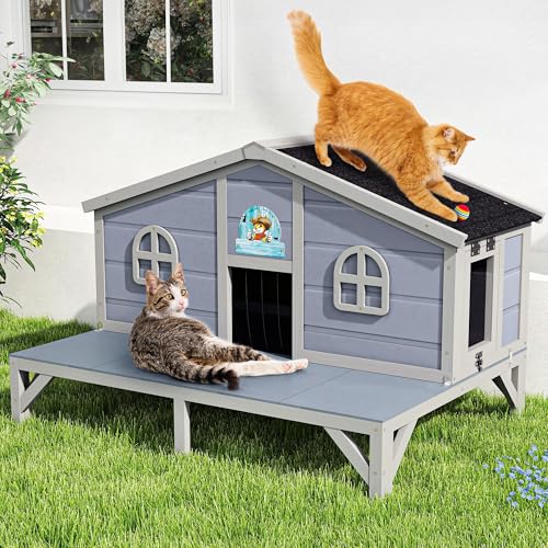 Outdoor Feral Cat House