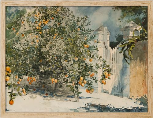 SIGNWIN Framed Vintage Landscape Countryside Landscape Wall Art, Nature Wilderness