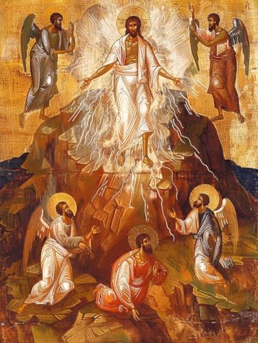 Vg yCgoCio[ j DIY G ANG̋ ZbgƃuVt G lp S G hG  A[gNtg z[fR[V av[g 100x135cm 1-9517