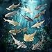 Shark Toy Animals (12 Count)