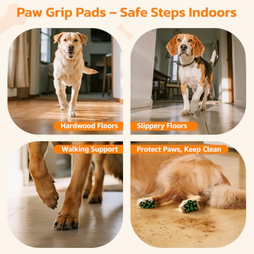 Image of Anti Slip Toe Grips for Senior Dogs on Hardwood Floor 48 Pcs BG M