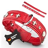 ⭐Michur ist ein deutsches Unternehmen, mit dem einfachen Ziel: hochwertige, funktionale und ästhetisch wunderschöne Produkte für unsere Fellnasen zu fertigen. Genau mit diesem Hundehalsband aus Leder, sind wir fest davon überzeugt, dies geschafft zu haben.