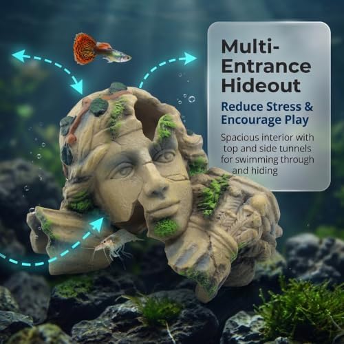 relaqcc Aquarium Hideout Cave Tank Decor for Betta Shrimp Amphibians — 사진 4