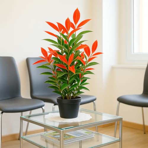 Künstliche Glanzmispel PHOTINIA ca. 80 cm hoch Kunstpflanzen künstliche Pflanzen JWS2641 – Bild 5