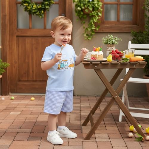 Image of Kavousa Toddler Boy Easter Outfit Baby Boy Bunny Short Sleeve T Shirt And Shorts Set 2 Piece Spring Summer Clothes