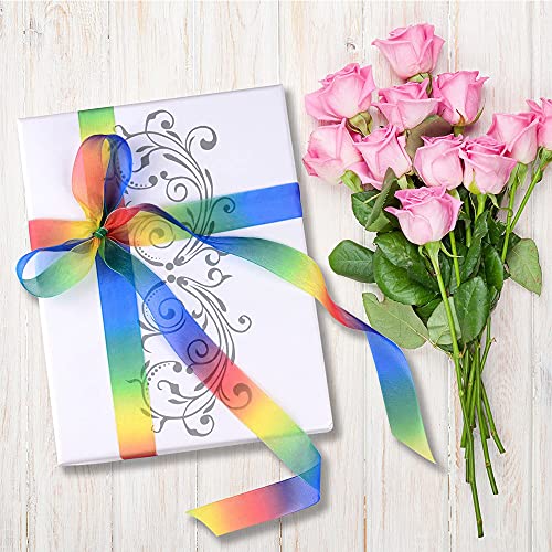 Nastri in Poliestere Colorati, Nastri Arcobaleno