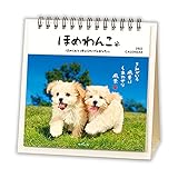 日本ホールマーク 2022年 カレンダー 卓上 ほめわんこ 790745