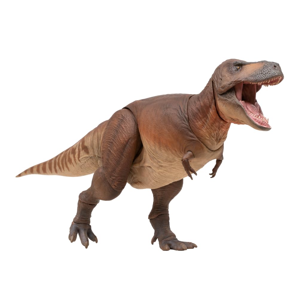 Amazon.com: PNSO Prehistoric Animal Articulated Toy Series:01