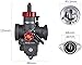 NIBBI Motorcycle Carburetor PE28FL Own Flange 150CC 200CC 250CC Carburetor 28mm With Carburetor Jets Fit Honda Yamaha Suzuki Kawasaki Motorcycle Scooter ATV Dirt Bike 150CC-250CC Horizontal Engine