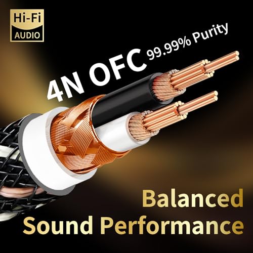 Cable de audio para subwoofer en amplificadores de salon 2