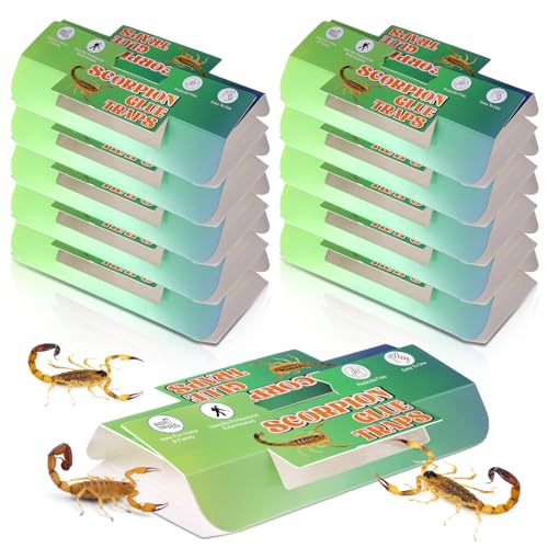 10 Pack Scorpion Glue Traps Non Toxic Scorpion Killer for Home Indoor Extra Sticky Glue Traps for Roaches Bugs & Insects Pet and Children Safe Ready to Use Ideal for Basement Bathrooms Garage