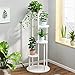 Sadzarka Wyświetlacz Regały Jednostka Kwiat Stojak Kwiat Stojak,Schody roślinne,Biały Metalowy Ogród Patio Stojąc Wysoki Niski Kwiat Półki Składowa Rack Rack Organizator Wyświetlacz do Kryty Ogrodowy