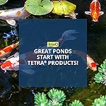TetraPond Koi Growth 4.85 Pounds, Soft Sticks, Pond Fish Food - Image 5