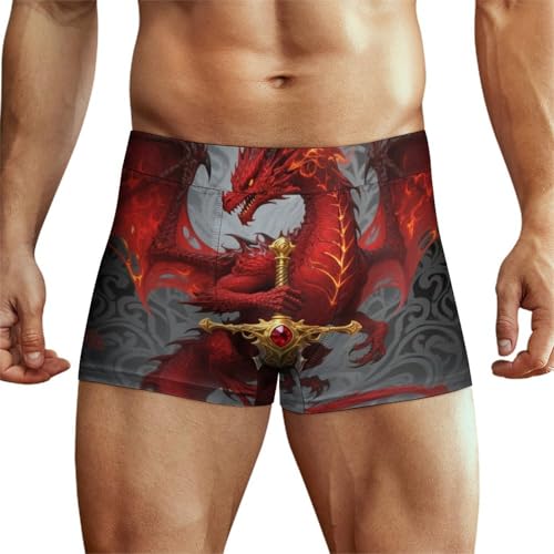 Mens Drawstring Bikini Briefs Bathing Suit