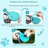 Tragbare Haustiere Trinkflasche, 285ml Edelstahl Wasserflasche für Hunde, Auslaufsichere Reise Trinknapf für Katzen mit Faltbarem Silikonnapf für Spaziergänge und Wanderungen Im Freien