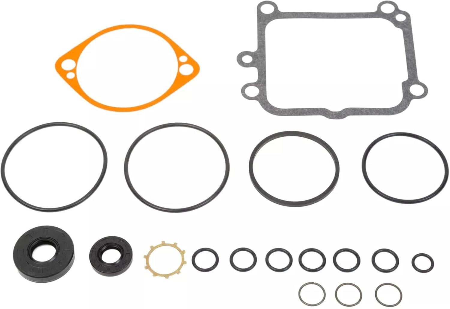 Pump Seal Kit for Hydro Gear 2513018 BDP-10L Compatible with Toro Exmark 80-6130 Ariens 58800300