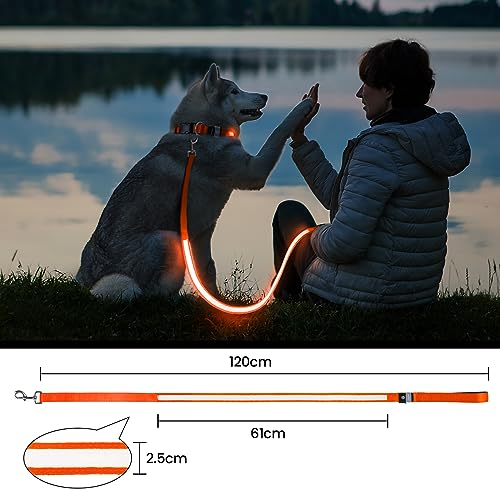 LED Hundeleine, Leuchtend Hundeleine für Kleine, Mittel Große Hunde, Wiederaufladbar & Wasserdicht, 3 Beleuchtungsmodi 5 Farben Erhältlich, Glühen im Dunkeln für Sicherheit Nachtwandern (Orange)