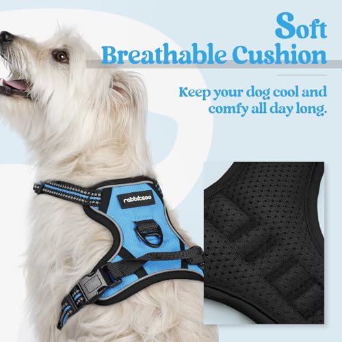 Image of rabbitgoo Dog Harness No Pull with 2 Leash Clips, Adjustable Soft Padded, Reflective Oxford No Choke Pet Vest with Easy Control Handle for Puppy, Blue, XS