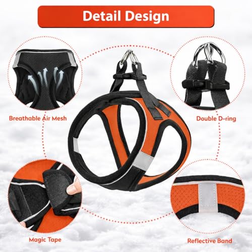 Image of Berlin's Cat Harness with Leash for Outdoor, Walking, Escape Proof, Air Mesh Fabric, Easy Control, Adjustable & Durable Cat Leash with Harness for Cats (Black-Orange, Small)