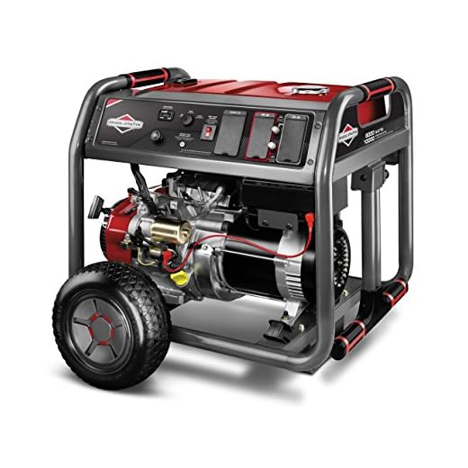Briggs & Stratton 30664 8000W Generator