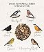 Dehner Natura Premium Wildvogelfutter, Streufutter, Ganzjahresfutter proteinreich / energiereich, hochwertiges Vogelfutter für Wildvögel, 3 kg