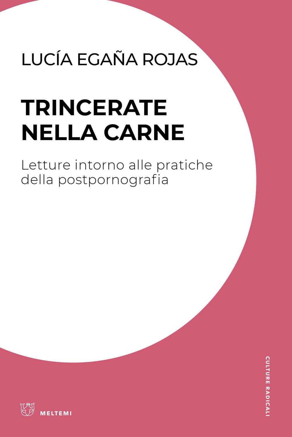 Trincerate Nella Carne. Letture Intorno Alle Pratiche Della Postpornografia - 4