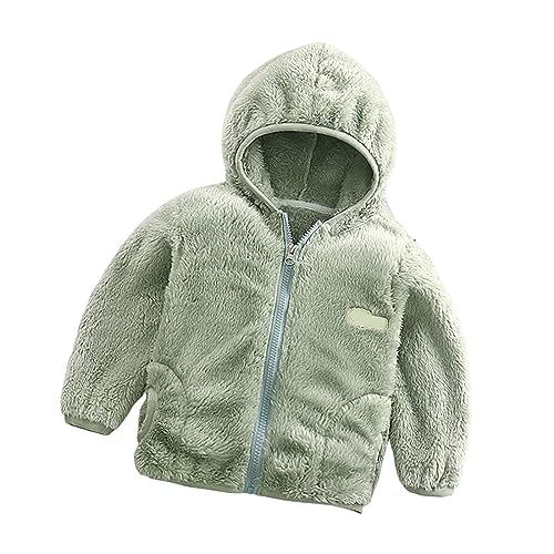 Kids Fleece Sweatshirt Jacket Winter Autumn Warm Zipper Coat with Hooded for Children (Green, 7-8 Years)