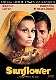 Sunflower (English Subtitled)