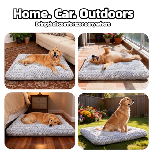 Dog Beds Large Sized Dog, Washable Durable Pet Bed, Deluxe Plush Soft & Comfortable Dog Crate Bed Pad for Large, Jumbo, Medium, Small Dogs Breeds, 35\"X 23\"-XL, Light Gray
