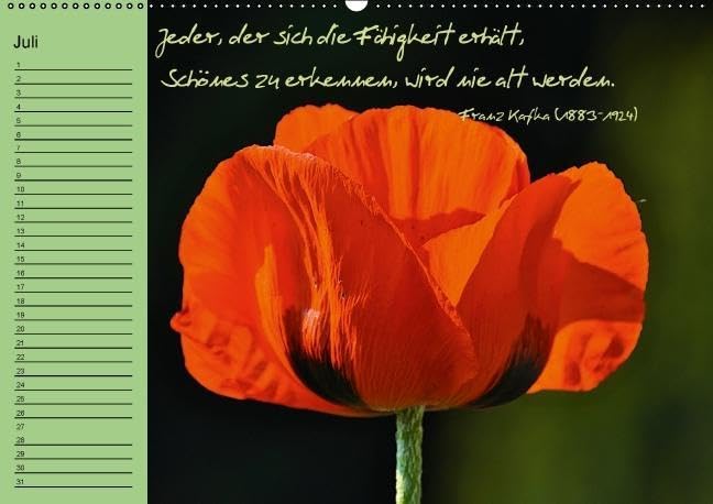 Vergiss mein nicht Geburtstagskalender (Wandkalender immerwährend DIN A2 quer): Immerwährender Terminkalender mit bildschönen Blumenmotive und ... ... Lebensweisheiten (Monatskalender, 14 Seiten)
