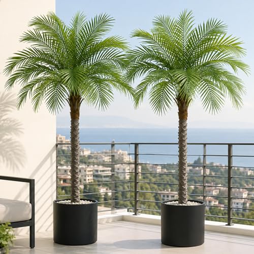 Image of 5ft Artificial Phoenix Palm Tree, Faux Coconut Silk Tropical Fake Palm Plant for Indoor Outdoor Home Office Patio Bathroom Pool Coastal Decor(Set of 2)