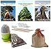Seedeo® Mammutbaum Anzuchtset. Drei Sorten im Jute Geschenksack Bonsai geeignet.