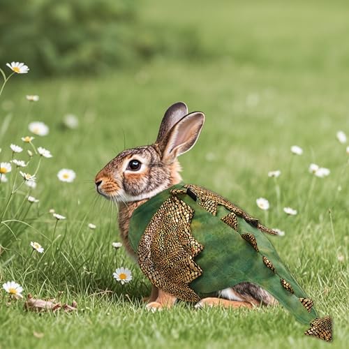 Disfraz Dinosaurio para Mascotas Pequeñas Verde Talla S miniatura 7