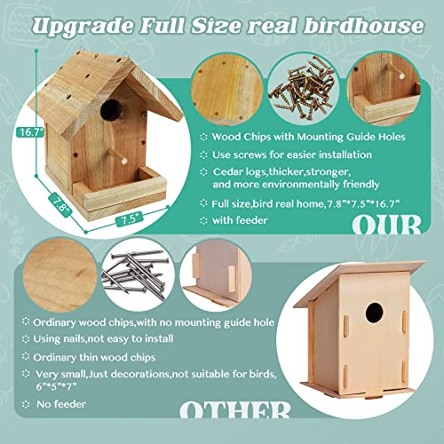 DIY Birdhouse Kit with Paint Set - Kids' Wood Craft Kits - Make a Bird