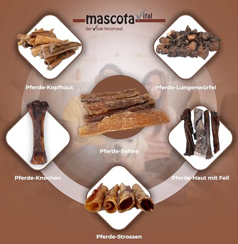 mascota vital - Pferde-Sehne 200g -100% Pferd - Pferdesehne ist für ernährungssensible Hunde geeignet - sensitiv - Langer Kauspaß - Pferdesehne für Hunde (Pferde-Sehne)