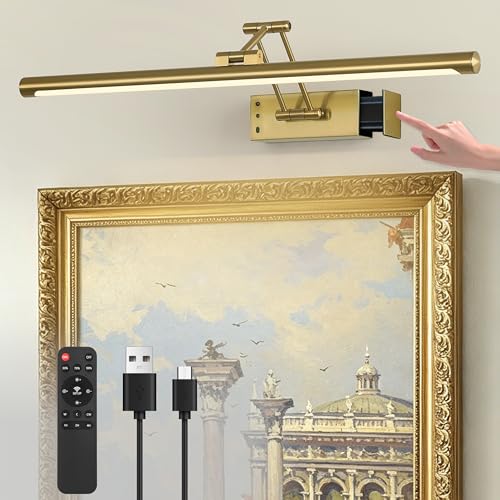 Joossnwell 23.62-Inch Wireless Brass Picture Light