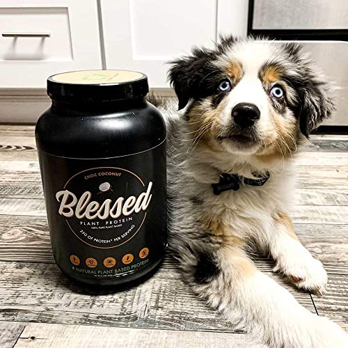 Blessed Vegan Protein Powder - Plant Based Protein Powder Meal Replacement Protein Shake, 23G Of Pea Protein Powder, Dairy Free, Gluten Free, Soy Free, No Sugar Added, 30 Servings (Chocolate Coconut) #TOP5