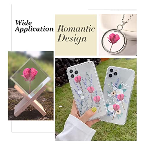 60 piezas flores secas de colza rosa para resina miniatura 5