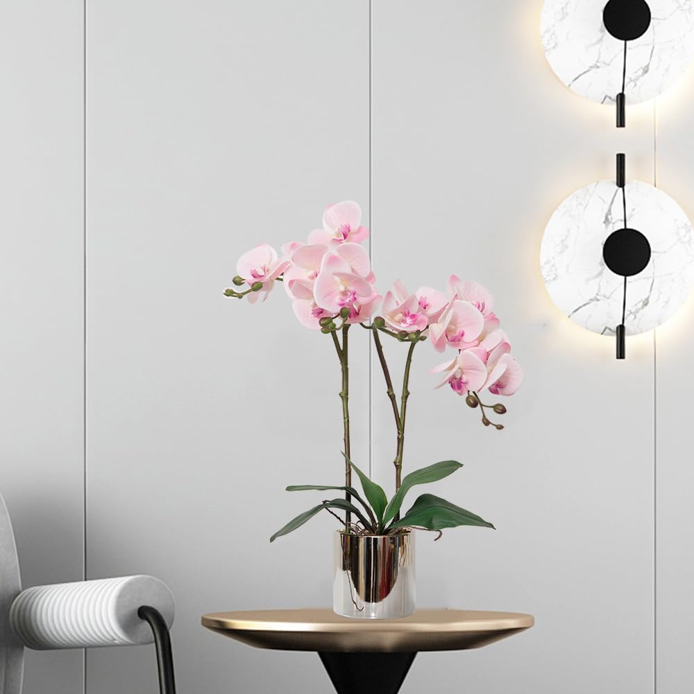 CXGS Künstliche Orchideen – 50,8 Cm, Rosa, Im Keramiktopf, Lebensecht Aus Seide & PU, Für Innendekoration