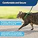 PetSafe Come with Me Kitty Harness and Bungee Leash, Large, Lime