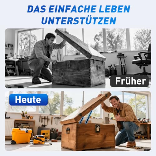 ARANA 400MM 250N Gasdruckfedern, 25KG Gasfeder Ersatz Gasdruckdämpfer Hydraulisch Halterung Für Schranktür, Spielzeugkiste, Bank LId Wohnmobiltür und kreative DIY Anwendungen, 2 Stück