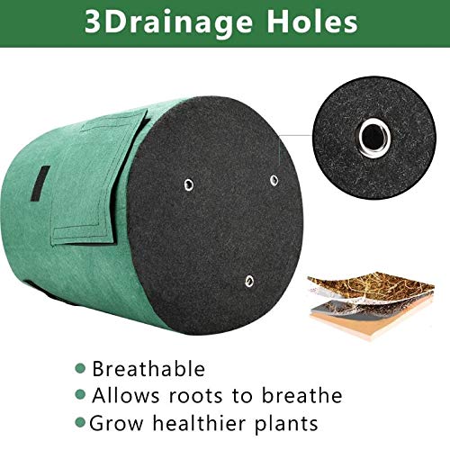 Futone Grow Bags, Potato Planter Bags, Planting Fabric Pots With Handles And Flap, Garden Bags For Vegetables, Tomatoes, Carrots, Onions (10 Gallon) #TOP3