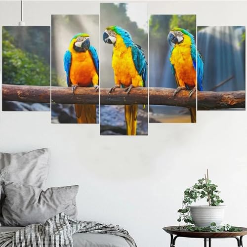 Deco murale salon avec cadre pour sublimer un grand mur vide