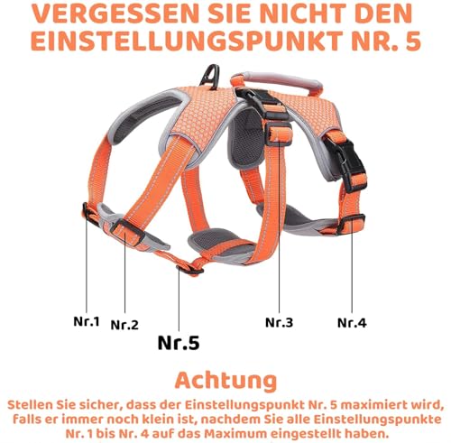 BELPRO Mehrzweck-Hundegeschirr, ausbruchsicher, kein Ziehen, reflektierend, verstellbare Weste mit strapazierfähigem Griff, Hundegeschirr für große/aktive Hunde(Orange, S)