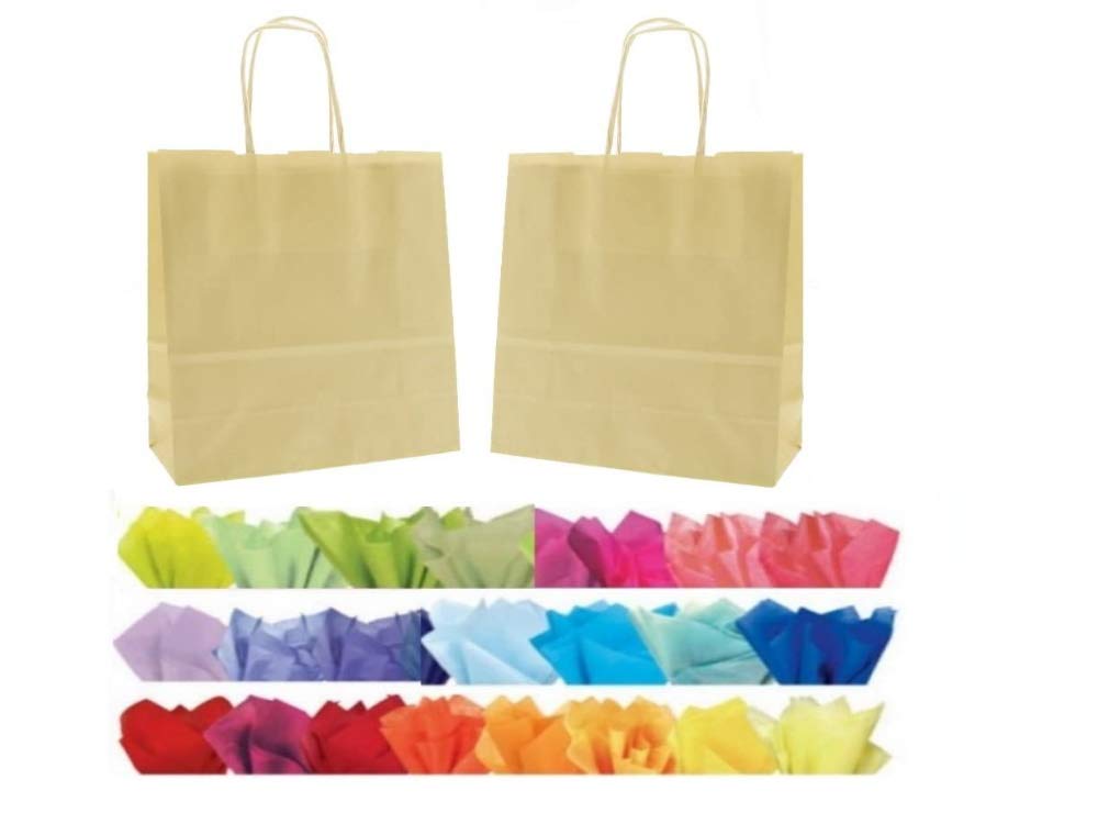 x 10 LUXURY PAPER GIFT BAGS WITH MATCHING TISSUE PAPER - CHRISTMAS/BIRTHDAY/PARTY BAG - (Ivory)