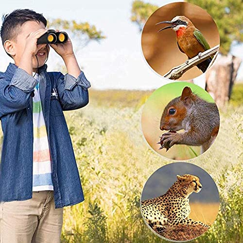 Binoculares resistentes con aumento 10x42 para uso exterior miniatura 5